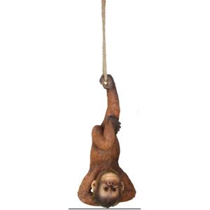50cm Realistic Hanging Orangutan - CLICK & COLLECT ONLY