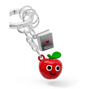 KEYCHAIN APPLE/BOOK TEACHER N
