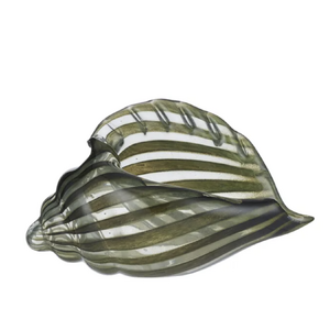 Conch Shell Glass Sculp 22x11x13cm Olive - BULK ITEM