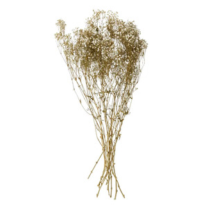 Gypsophila Preserved 70cm White