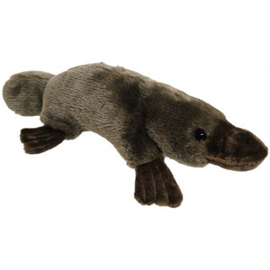 Platypus