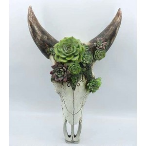 Goat skull with succulent - Large