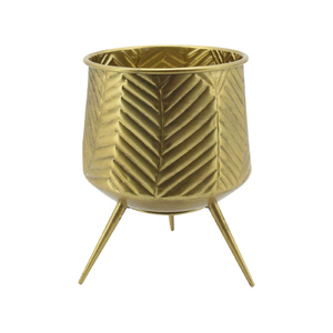 Planter West End Short