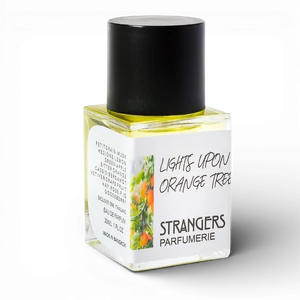 Lights Upon Orange Tree