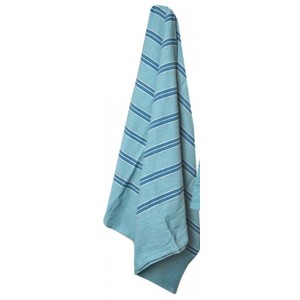 Wide white and turquoise sripe