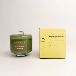 Vivid Lemongrass and Ginger 230g Candle