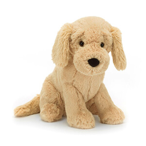Dog Golden Retriever - Tilly