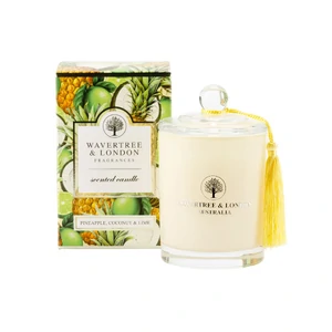 Pineapple Coco Lime Candle