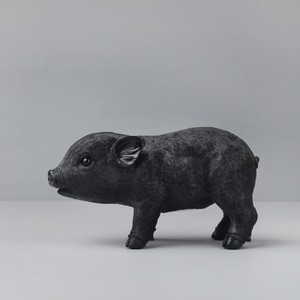 Pig money box - black - BULK ITEMS