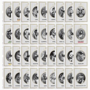 Specimen Anthology Sample Box Set